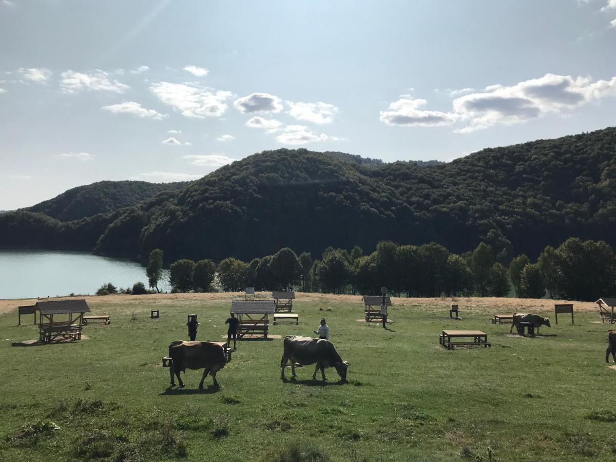 Casutele Doftanei Διαμέρισμα Teşila Εξωτερικό φωτογραφία