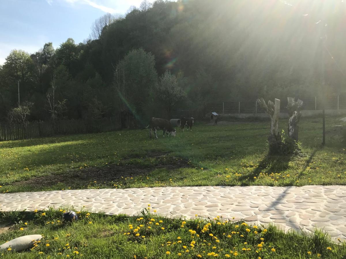 Casutele Doftanei Διαμέρισμα Teşila Εξωτερικό φωτογραφία