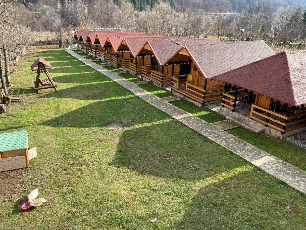 Casutele Doftanei Διαμέρισμα Teşila Εξωτερικό φωτογραφία